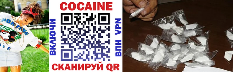 Купить закладки  Торжок  Cocaine Fish Scale 