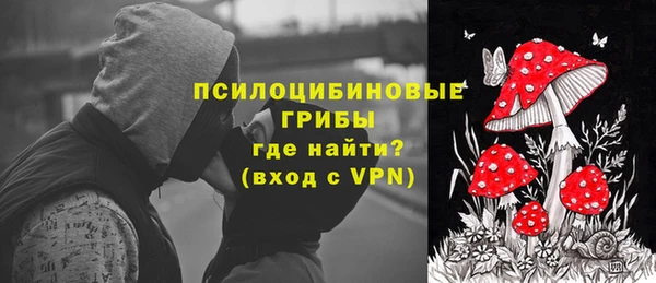 молекула духа Нея