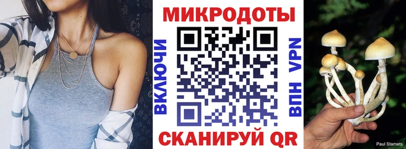 Купить  Торжок  Псилоцибиновые грибы MAGIC MUSHROOMS 